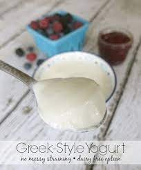 dairy non dairy greek style yogurt