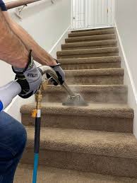 best professional carpet cleaning companies