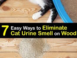 home remes to remove cat urine from