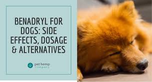 benadryl for dogs side effects dosage