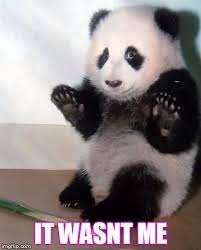 hands up panda meme generator flip