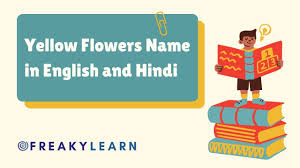 25 yellow flowers name in english and