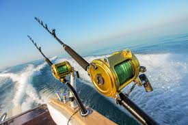 Deep sea fishing rod and reel combos. Fishing In Nassau The Bahamas The Definitive Guide Sandals