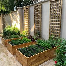11 vegetable garden ideas the family