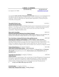 Best     Executive resume template ideas on Pinterest   Layout cv     Regional Sales Manager Resume Example