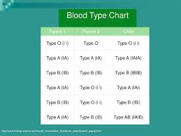 Ppt Example Of Multiple Alleles Powerpoint Presentation