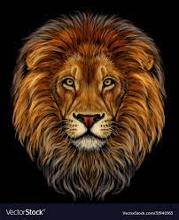 lion color realistic portrait a lions