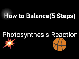 How To Balance Photosynthesis Equation
