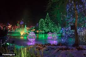 Of Lights At Vandusen Botanical Garden