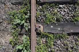 Railroad Ties For Garden Beds Safety