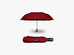 12 best umbrellas 2023 windproof