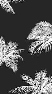 100 black and white iphone wallpapers