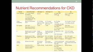 mnt ckd part 3 nutrition therapy you