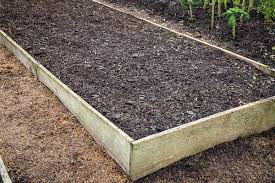 soil for raised beds which gardening