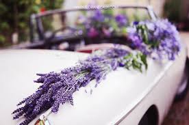 Looking for the best wedding colors? Lavender On A Wedding Car What A Lovely Idea Lavender Wedding Wedding Car Wedding