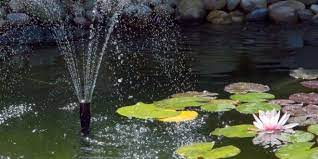 The Many Benefits Of Using A Pond Pump