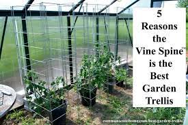 vine spine is the best garden trellis