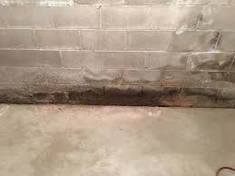 Basement Mold Illness Testing And