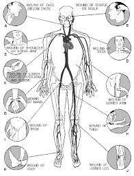 Figure 1 6 Pressure Points For Control Of Bleeding