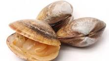 What happens when a clam dies?