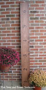 Diy Ruler Growth Chart Pink Toes And Power Tools
