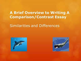 Grant Writing Services Fees Hired Gun Writing Compare And
