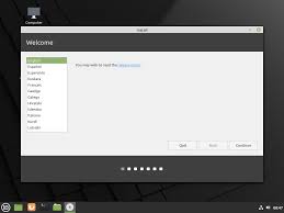 how to install linux mint 20 in 10 easy