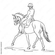 Vecteur Stock A sketch of a dressage rider on a horse executing the half  pass. | Adobe Stock