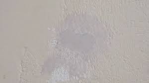 Check spelling or type a new query. Patching Holes In Walls How To Fix Or Patch Holes In Rendered Walls Youtube