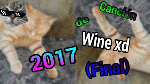 Canción de Wine xd 2017 (Final) - YouTube
