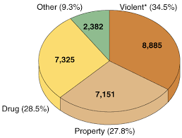 A Pie Chart Of Percentage Of Crime Chart Diagram Pie