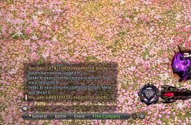 You just need to unlock the system by joining one of the three grand companies in limsa lominsa . I Receive No Armoury Bonus At All Ffxiv