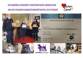 Sämtliche vorlagen können kostenlos und ohne anmeldung. Medien Tierschutzverein Stuttgart Und Sein Tierheim