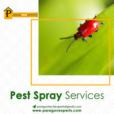I also have them spray regularly for centipedes and spiders. Pest Control Spray Services In Dubai Pest Control Pests Pest Spray