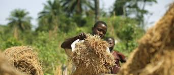 The Millennials Giving African Farming An Image Boost