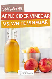 apple cider vinegar vs white vinegar
