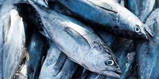 Ikan dapat digunakan sebagai bioindikator karena mempunyai daya respon terhadap adanya bahan pencemar. Manfaat Ikan Tuna Untuk Bayi Kenali Juga Risikonya