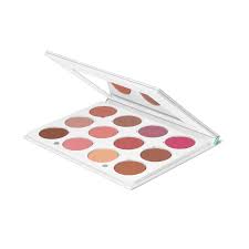 pro palette blush ofra cosmetics