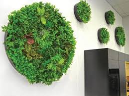7 Green Wall Ideas To Inspire You And