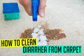 how to clean diarrhea from carpet step