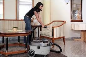 carpet extraction cleaner wet dry at
