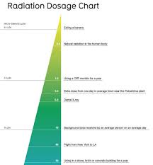 A Comprehensive Chart Of Radiation Doses Geekologie
