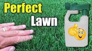How to get thick green lush lawn quickly. - YouTube