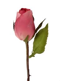 01554-34001) ARTIFICIAL FLOR INDIVIDUAL ROSA CAPULLO ROSA | eBay