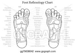 Foot Reflexology Chart Stock Photo Foot Reflexology Chart