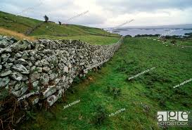 Dry Stone Walls In The Vicinity Of Cong