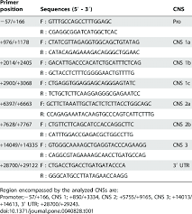 Primer Sequences For Chart Pcr And Chip Assay Download Table