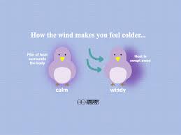 Wind Chill Effect What It Is And How To Calculate It