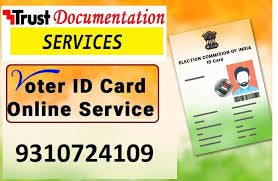 voter id card consultancy services at