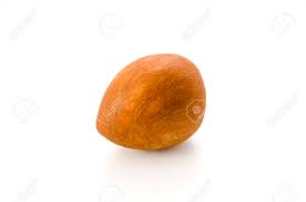 Image result for free pictures of avocado seeds